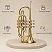 Queen Brass Bb Cornet Gold Finish Brass Body with Smooth Valves Mouthpiece and Hard Case for Beginners Students and Band Performers Rich Warm Tone