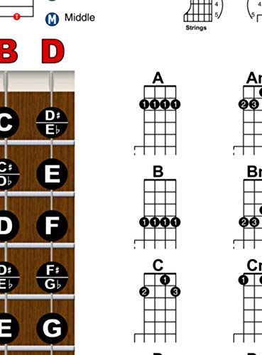Laminated Banjo Poster - Chords Rolls Fretboard Notes - Open G Tuning 11X17 Easy Beginner Instructional Chart By A New Song Music #TOP4