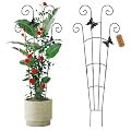 2 Pack 30 Inch Taller Plant Trellis for Potted Climbing Plants Indoor,Expandable Metal Garden Trellis for Climbing Plants,Flowers Vine Ivy, Sturdy Houseplant Support for Potted Plants with Ties