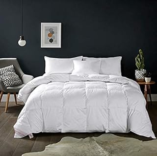 Soft Queen Size Comforter Duvet Insert-Down Alternative Comforter Quilted with Corner Tabs for All Season-Lightweight Breathable Brushed Microfiber Machine Washable (White 90”x90”)