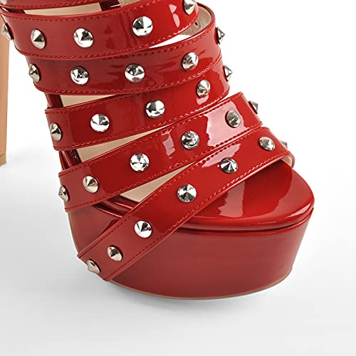 Image of richealnini Women's Crisscross Platform Stiletto High Heels Strappy Sandals with Zipper