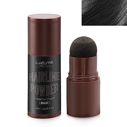 Powder Stick for Thinning Hair, Bald Spots and Root Cover Up - Hairline Contouring, Waterproof, Instantly Conceals Hair Loss for Women and Men (Black)