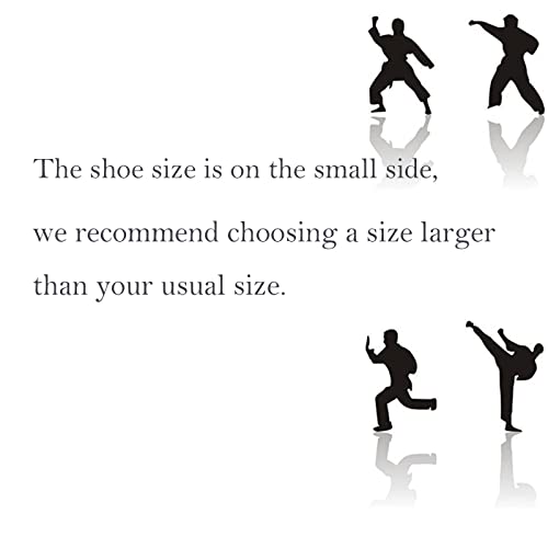 AioTio Zapatos Tradicionales Viejos Chinos de Pekín Kung Fu Tai Chi Zapatos Suela de Goma Unisexo Negro(250mm 40EU) - imagen 2