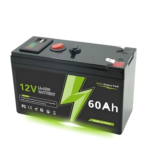 LiFePO4 12V 60Ah Wiederaufladbare Batterie Für Kinderfahrzeuge &...