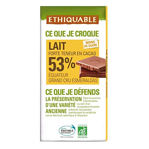 ETHIQUABLE - Chocolat Lait 53% Cacao Équateur Bio 100G - Lot De 4 - Vendu Par Lot