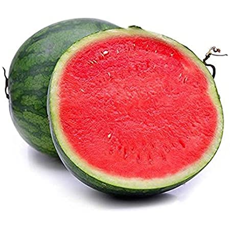 Royal Paradise Garden Rare Watermelon Fruit Seed"Red Seedless" Exotic 10 Fruit seeds for Growing (B094C97YGB) Amazon Price History, Amazon Price Tracker