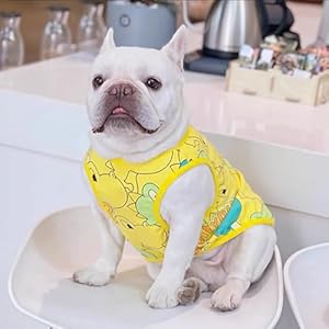 Dog Shirts for Small Medium Dogs Boy Girl, Summer Dog Clothes Cooling Dog Shirts for Small Medium Dogs and Cats, Funny Dinosaur French Bulldog Clothes for Frenchie Dog Chihuahua Shorthair Dog Shirts for Small Medium Dogs Boy Girl, Summer Dog Clothes Cooling Dog Shirts for Small Medium Dogs and Cats, Funny Dinosaur French Bulldog Clothes for Frenchie Dog Chihuahua Shorthair