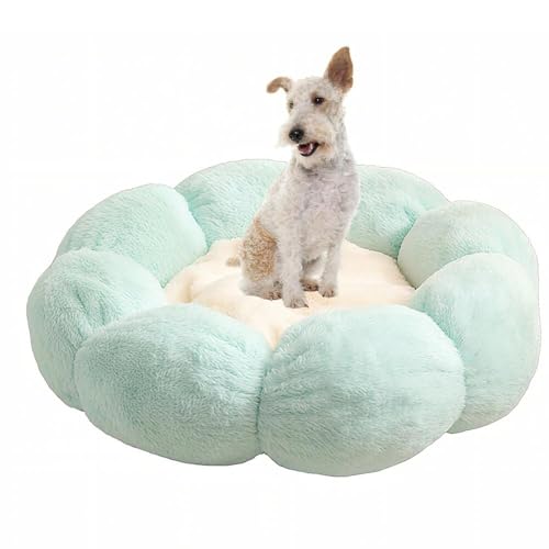 Lifetips C[tHbNXeA C[ ӂӂybgxbh Lp 􂦂 ~ ~p NbV ʔNΉ ې􂢉 Lpxbh ~p ~ߒ 􂦂Jo[ ᔽNbV iACXO[j