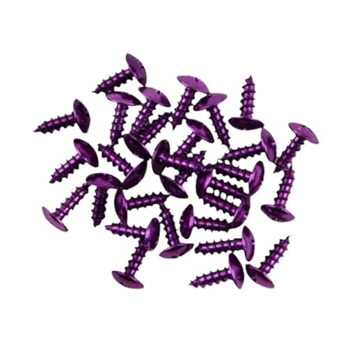 20 M5X14mm A~ Jt Zt^bsO oCN{gLbg t@Xi[ Nbv lW gNXANZT[ I[goClW(PURPLE)