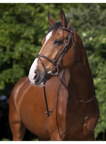 RIDING WORLD Bridon Combinée - Couleurs - Havane, Taille Equipement