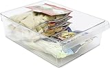 Rotho Loft Frigorifero Organizzatore, tworzywo sztuczne (SAN) senza BPA, Trasparente, L/5L 31,0 x 22,0 x 9,0 cm