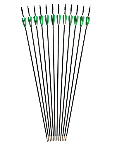 Gpp Archery Beginner's First Arrows (30" Fiberglass Target Archery Arrows) - 12 Pack,Green #TOP1