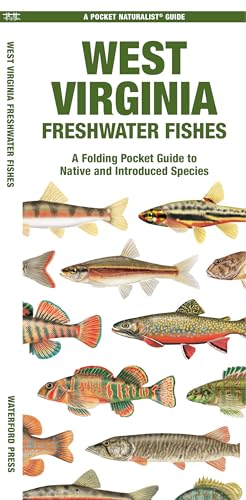 West Virginia Freshwater Fishes (Nature Observation North America)
