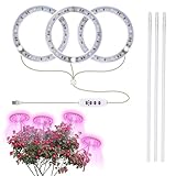 Pflanze wachsen Ringlampe - Pflanzenleuchte mit einstellbarem Timer und Ständerhöhe,Wasserdichtes...