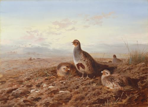 Tableaux Modernes Perdrix Archibald Thorburn pour Habiller un Grand Mur Vide