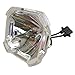 VLIZO Ersatzteile- POA-LMP49 Ersatzlampe for Projektoren, kompatibel mit SANYO PLC-UF15 / PLC-XF42 / PLC-XF45 MI 4 günstig Kaufen-VLIZO Ersatzteile- POA-LMP49 Ersatzlampe for Projektoren, kompatibel mit SANYO PLC-UF15 / PLC-XF42 / PLC-XF45