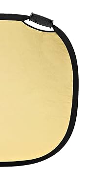 Amazon.com : Profoto Large Reflector - Gold/White