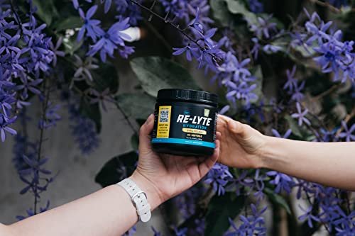 Redmond Re-Lyte Hydration Electrolyte Mix (Pina Colada) #TOP6