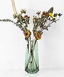 VERBESSERTES DESIGN - Der Diamantähnliche geschnittene Boden machen die Vase exquisit einzigartig und reflektieren hell. Die goldene Linienkante, der sich um die Öffnung wickelt, macht sie eleganter.