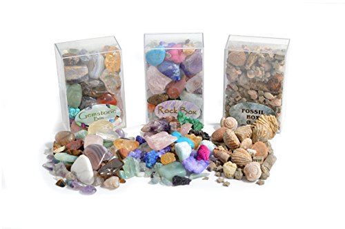 Preisvergleich Produktbild Fossil, Rock & Gemstone Box by Fossil Gift Shop