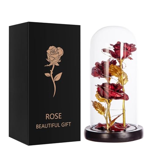 Qtuie Regalos de rosas para mujeres, regalos de cumpleaños para mamá, regalo de rosa para siempre, para su esposa, abuela, novia, rosas eternas en una cúpula de cristal, Navidad, San Valentín, Día de