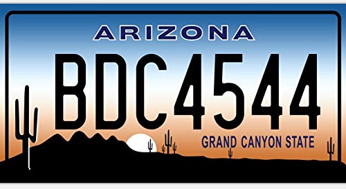 - Set mit 10 Metall USA Auto LIZENZPLATTEN - Repliken von echten amerikanischen Platten (Fabbri LF3)