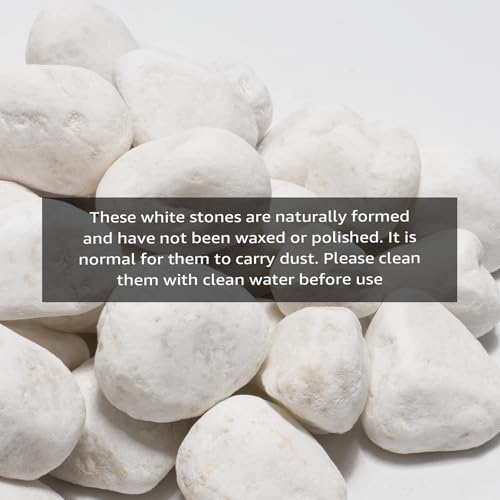 Image of White Natural River Rocks, 2-3.5 Inch Decorative Stones for Plants, Garden, and Landscaping - 40LB, Ideal for Fish Tanks, Vases, Crafting, Home Decor, and Outdoor Landscaping