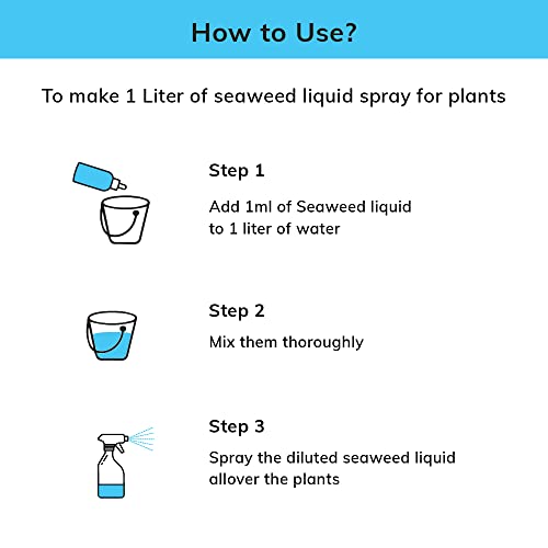 Image of Lazy Gardener Organic Seaweed Liquid Fertilizer Rapidgreen Bliss for Indoor Plants & Outdoor Plants, Flowering & Fruiting Promotes Plant Growth (200 Ml)