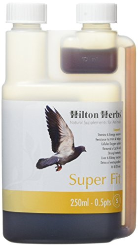 Hilton Herbs 27002 Super Fit-Natural Energy For Racing Pigeons Bottle, 0.5 Pint