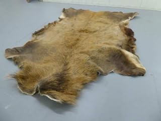 Robert Tartufferie Red Cervo Pelle di Cervo Nascondere Tappeto Taxidermia Caccia Camino Arredamento Casa Design
