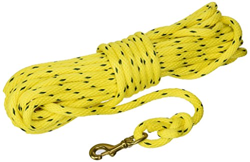 OmniPet 40' Check Cord, Yellow/Black