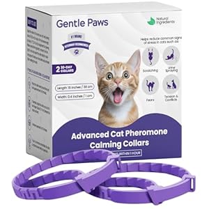 Gentle Paws 60-Day Cat Calming Collar (2-Pack) | for Stress, Fighting, Spraying, Pee Accidents, Anxiety & Aggression | Lavender-Free & Chamomile-Free, Non-Toxic, Breakaway Safety Design