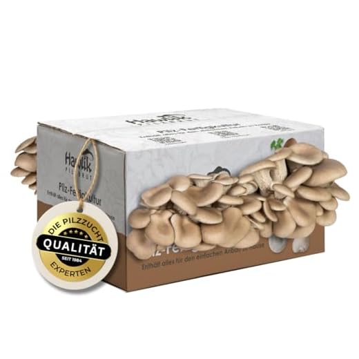 Hawlik Pilzbrut - große XXL Austernpilzkultur Zuchtset - Pilzkultur zum selber züchten - kinderleicht frische Pilze ernten