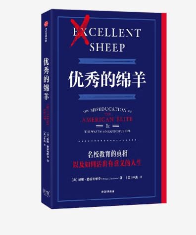 优秀的绵羊