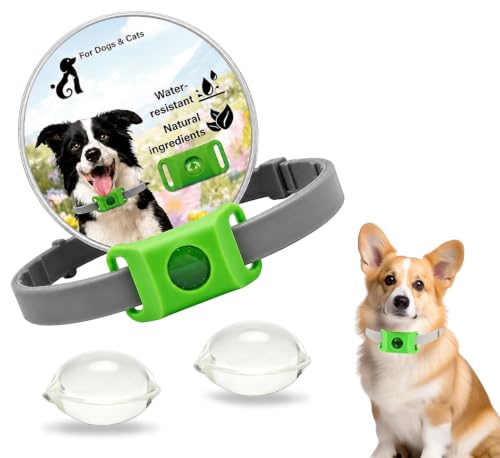 Natürliches Zeckenhalsband für Hunde,Clavya Tags for Dogs,Clavya Natural Collar for Dog, Silikon Wasserdicht Verstellbare Halsbänder für kleine, mittlere und große Hunde