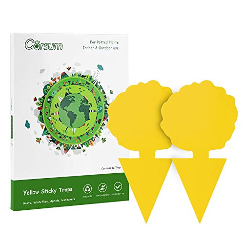 Garsum Fruit Fly Trap Yellow Sticky Fungus Gnat Killer (12 Pcs) And 12 Inches Moss Pole Plant Support(2 Pack) #TOP1