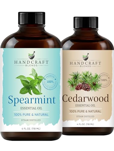 Handcraft Blends Forest Mint Set: Aceites Esenciales