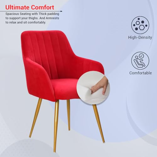Image of Taboo Velvet Dining Chair Set of 2 | Upholstered Accent Arm Chairs | Soft Cushioned Seat with Backrest | Modern Velvet Fabric Chairs with Metal Legs | Living Room, Bedroom, Cafe & Restaurant | Red