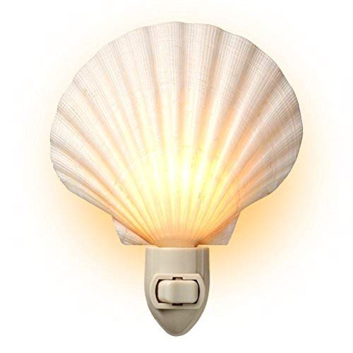 Tumbler Home Real Sea Shell Beach Night Light Real, Natural, Perfect For Beach Home Decor #TOP9