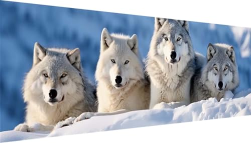 Diamond Painting Kit Complet Grand Format XXL Loup | Strass Rond Peinture Mosaïque DIY 250x100