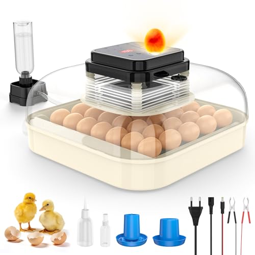 Couveuse automatique 35 œufs avec mire-œuf pour élevage de poules