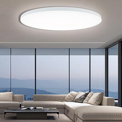 EACLL Ceiling Light LED Ceiling Light Diameter 30 cm 24 W 4000 K 2700