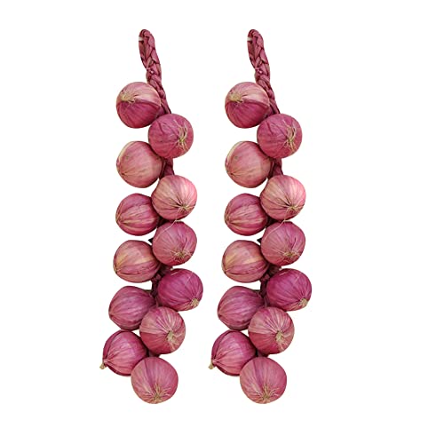 URFEDA Cebolla artificial, vegetal, fotografía, frutos artificiales, verduras, decoración realista, verdura falsa, decoración para el hogar, cocina, granja, fiesta
