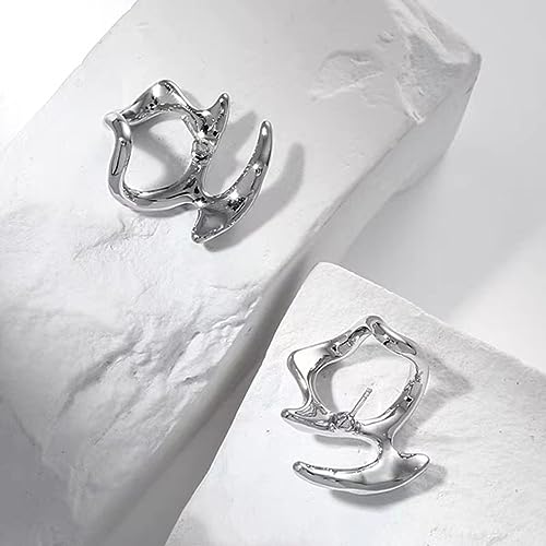 Y2k Statement Earrings For Women 925 Sterling Silver Earrings Irregular Unique Earrings Jewelry4