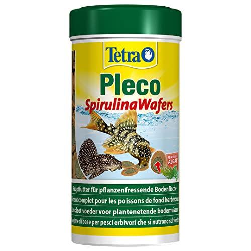 Tetra Pleco Algae Wafers - Mangime per pesci con alga spirulina per pesci di fondo al pascolo, Barattolo da 250 ml