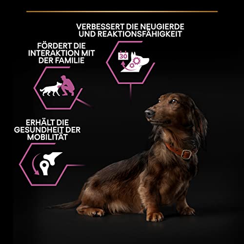 Pro Plan Small und Mini Adult Age Defence 9+, Hundefutter trocken, reich an Huhn, 1er Pack (1 x 3 kg)