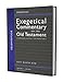 Ecclesiastes: A Discourse Analysis of the Hebrew Bible (17) (Zondervan Exegetical Commentary on the Old Testament)