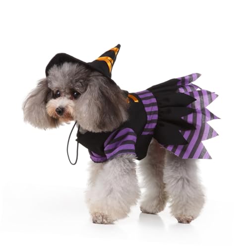 Disfraz Halloween Bruja para Perros Talla L Negro