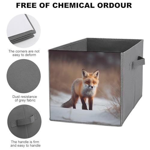 Boîtes de rangement renard pliable pour armoire gain de place - 4