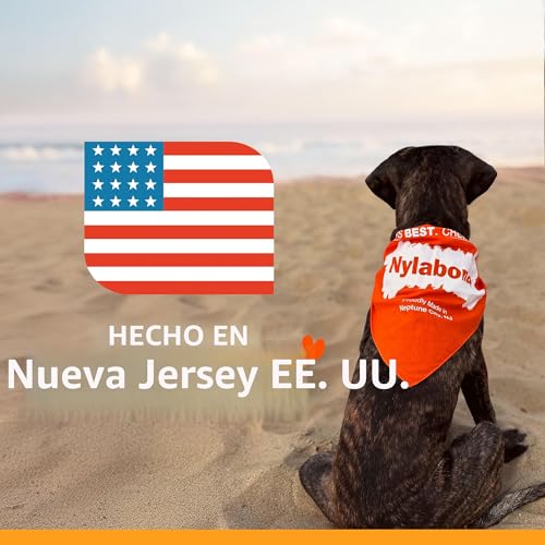 Nyla Bone Puppy Starter Kit (3 unidades)